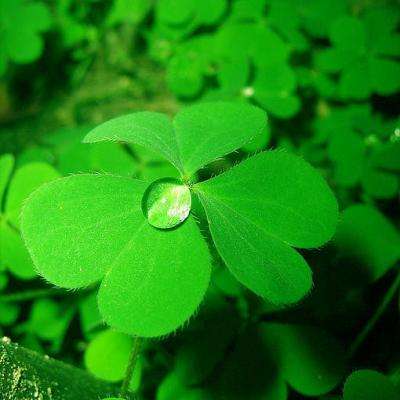 澳门·威斯尼斯wns888入口下载手机版